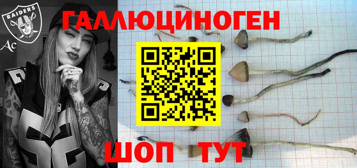 Псилоцибиновые грибы Psilocybe Карталы