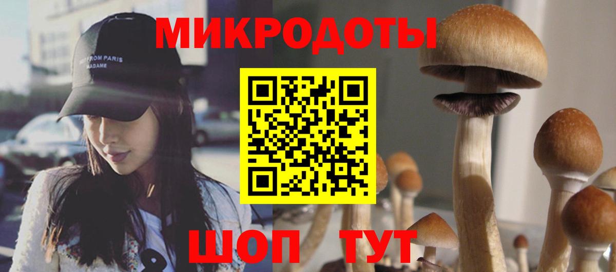 Карталы  Псилоцибиновые грибы GOLDEN TEACHER  Вход с VPN 